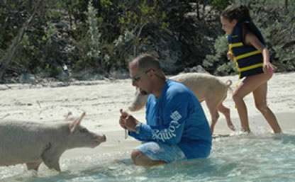 Swim with the pigs in Freeport, Bahamas